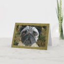 Search for pug christmas cards Xmas