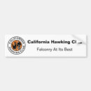 Search for hawk bumper stickers Bird of prey