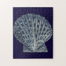 Search for sea shell puzzles Seashells