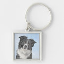 Search for black border key rings Pet