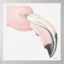 Search for surface level Animal body part