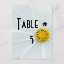 Search for guest table postcards Number