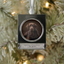 Search for paws pet supplies Keepsake