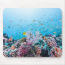 Search for fish mousepads Nautical