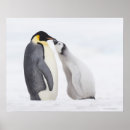 Search for two sided posters Full length