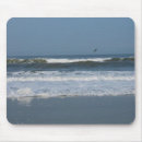 Search for sea bird mousepads California