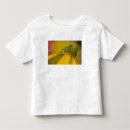 Search for frog toddler tshirts Amphibian
