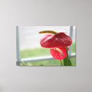 Search for flora canvas prints Plant