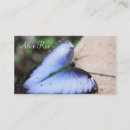 Search for morpho photography Nature