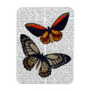 Search for flies magnets Antique
