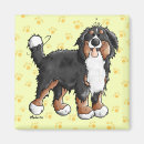 Search for bernese magnets Dogs