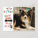 Search for funny dog picture postcards For pets
