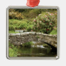 Search for old christmas tree decorations Nature