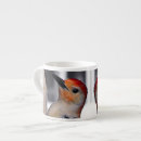 Search for red bellied woodpecker mugs Wild birds