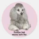 Search for poodle mom stickers Poodles