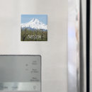 Search for orchard magnets Landscape