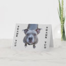 Search for funny nose cards Pitbull