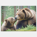 Search for grizzly magnets Wildlife