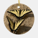 Search for yellow butterflies christmas tree decorations Insects