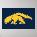 Search for anteaters posters Zot