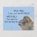 Search for funny animal photo postcards Humour