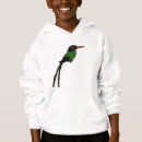 Search for hummingbird hoodies Cartoon