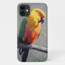 Search for conure iphone cases Bird