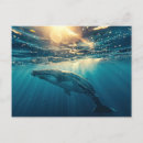 Search for blue whale postcards Animal