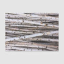 Search for logging photography Logs