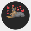 Search for cattle dog stickers Queensland heeler