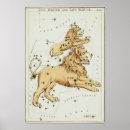 Search for leo constellation posters Sky