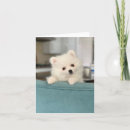 Search for another birthday cards Puppy