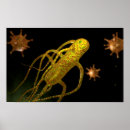 Search for microbiology posters Medicine