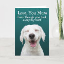 Search for labrador birthday cards Funny