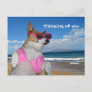 Search for bikini postcards Funny