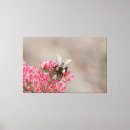 Search for taupe canvas prints Flowers