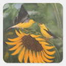 Search for sunflower seeds stickers Nature