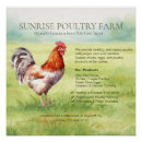 Search for chicken egg posters Farmers market