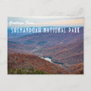 Search for virginia souvenir postcards Shenandoah