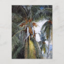 Search for tree key postcards Tropical