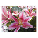 Search for tiger lily Green