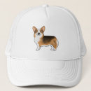 Search for corgi hats Canine