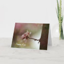 Search for think spring photography Floral