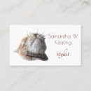 Search for funny business cards Humour