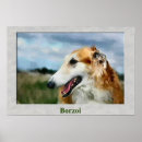 Search for borzois posters Pets