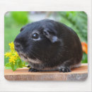 Search for rodent mousepads Pets