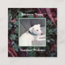 Search for shamrock business cards Irish