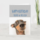 Search for funny 90th birthday cards Ninety