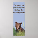 Search for grizzly bear posters Cub