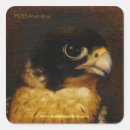 Search for peregrine stickers Hawk